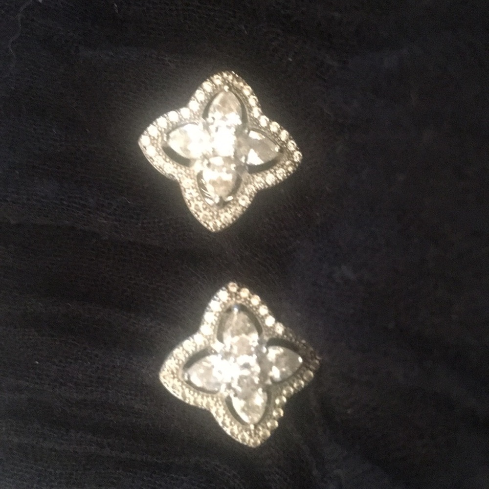 Elegant silver and glass earrings